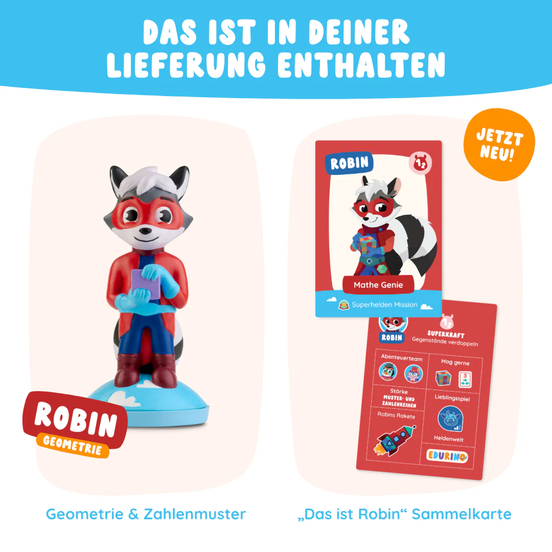 Robin "Geometrie & Zahlenmuster" - Image 5